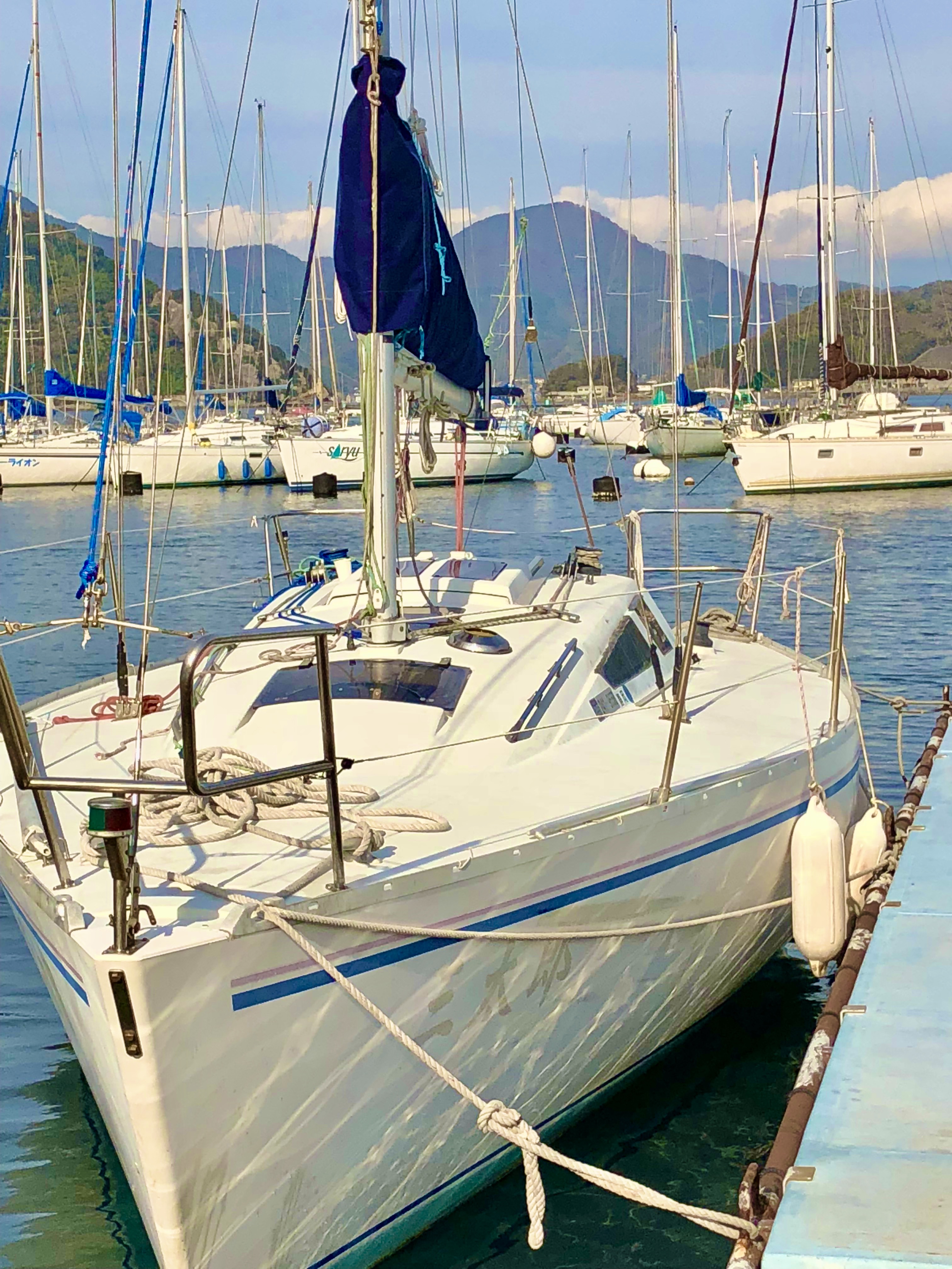 ヨットで波を楽しみます